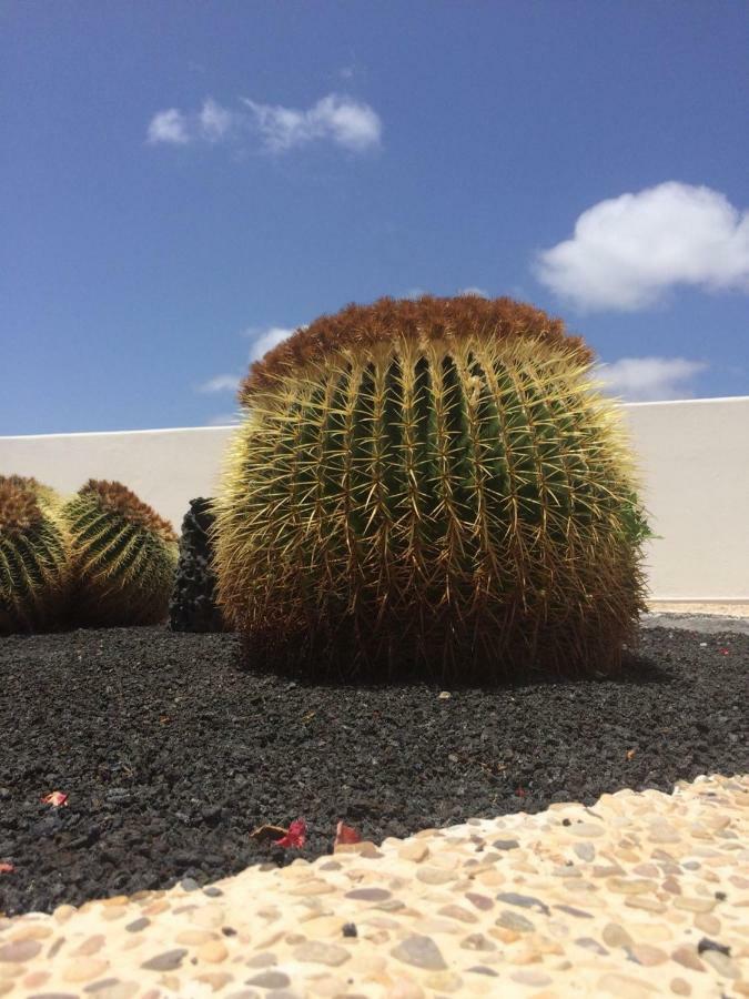 Los Panelos B1 Puerto del Carmen (Lanzarote) Exterior foto